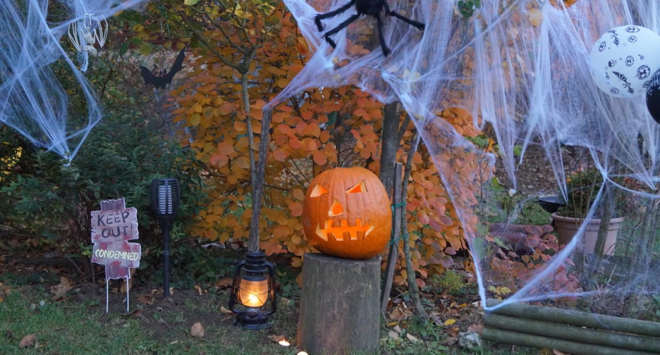 Syrius-halloween-2025-03