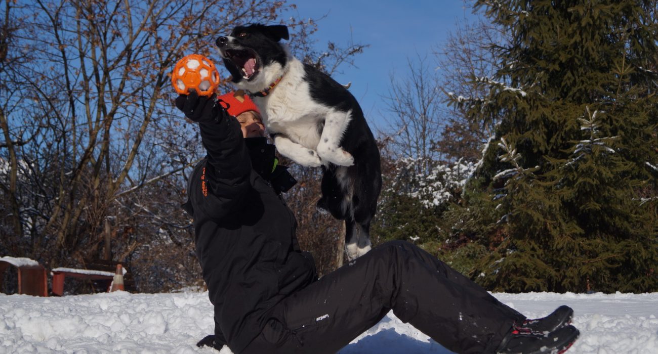 Syrius-teli-kepek-01