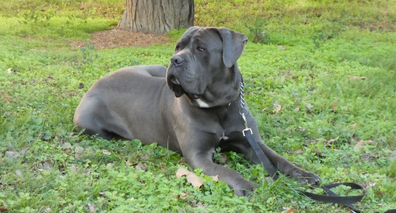 syrius-varosi -foglalkozas -2024-10-14