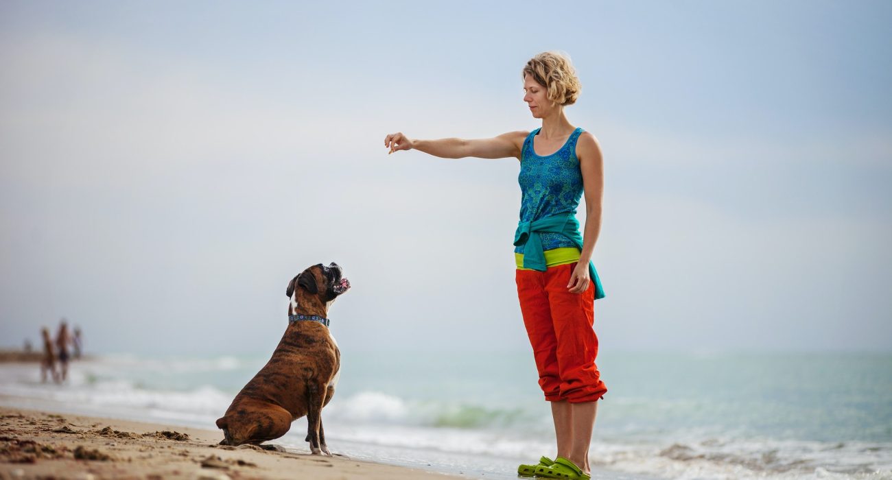 young-woman-giving-commands-to-boxer-dog-while-walking-on-beach.jpg